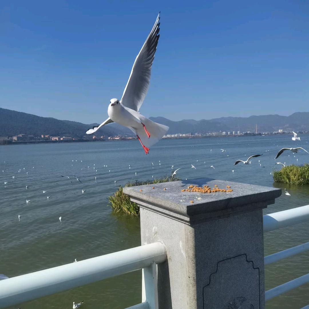 ღ᭄ꫛ꧔ꦿ᭄💞࿐ᩚ