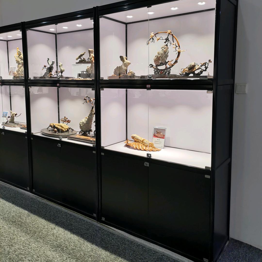 徐州金龙展示展柜