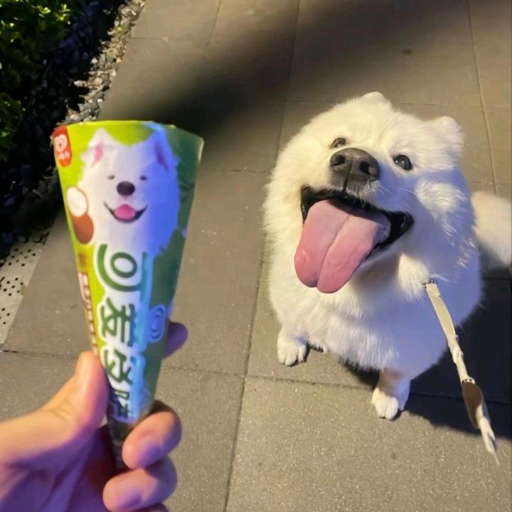 流风🍃头像