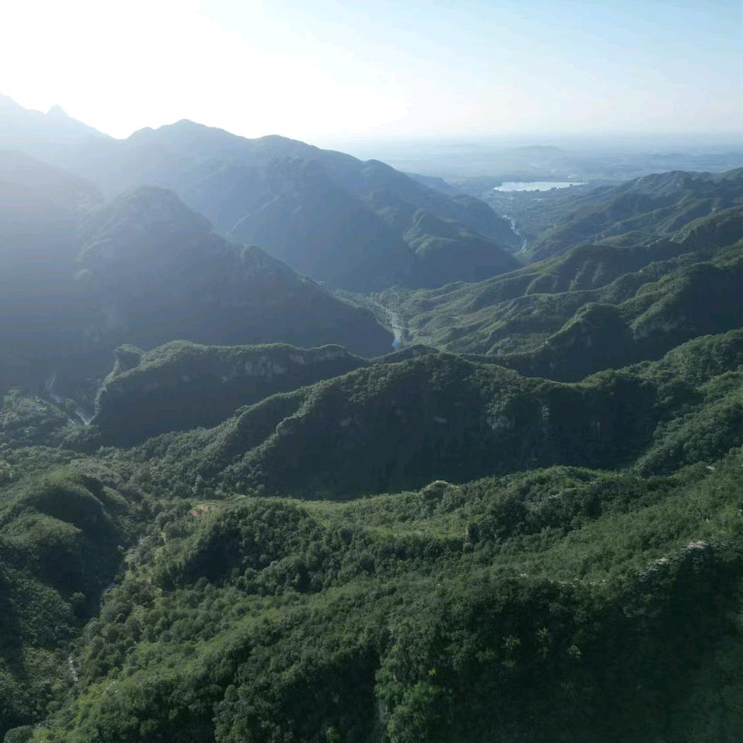 太行山六道木