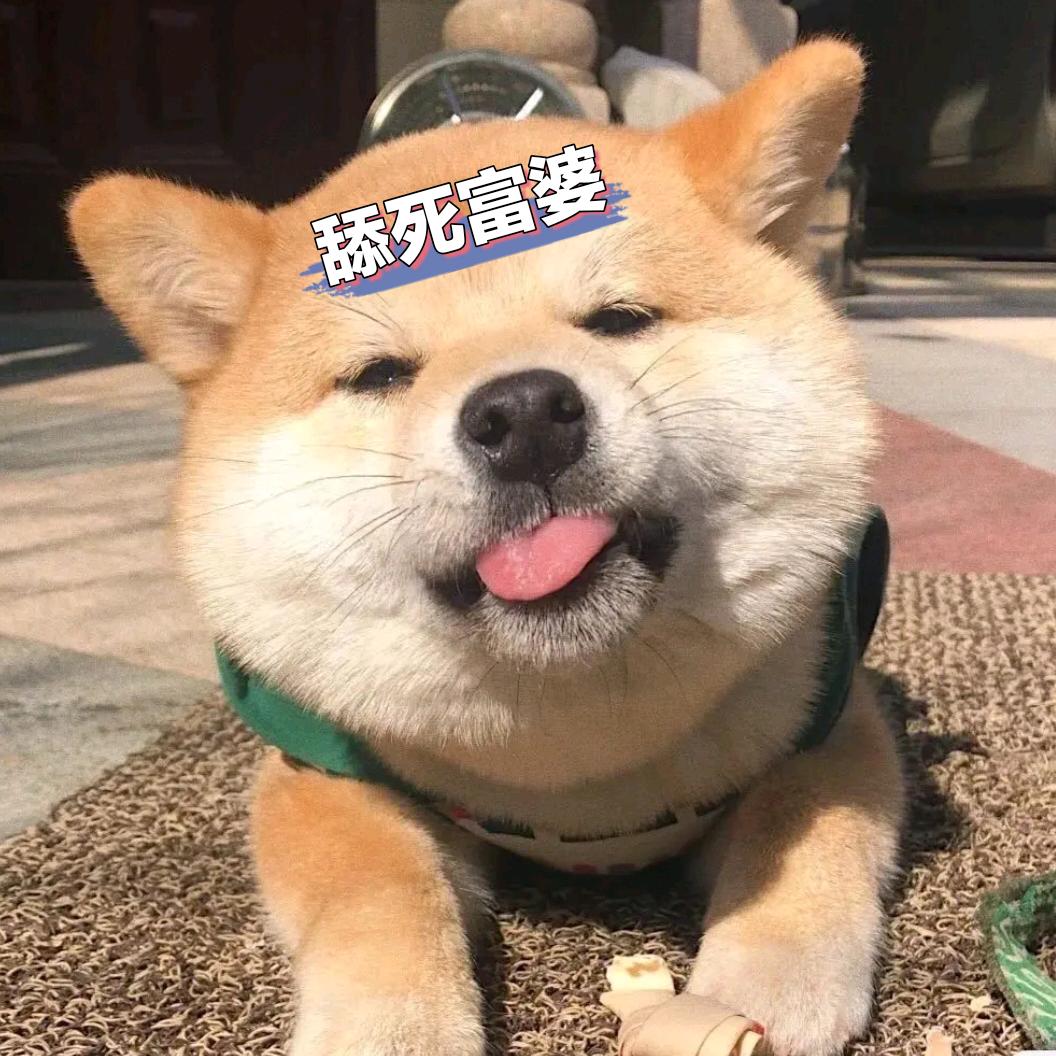 巷予暮南枝、