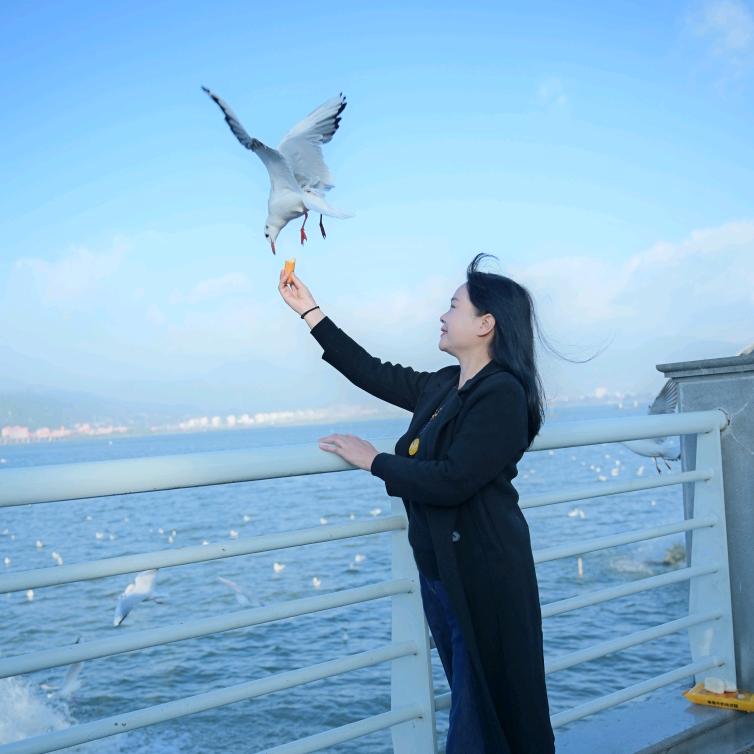 幸福的女人～陈老六