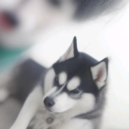 迟到一点也可以