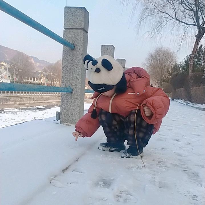 Ｏ(≧源宝▽麻≦)Ｏ