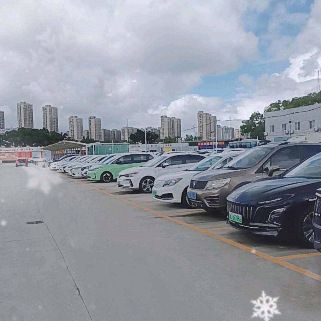 森立新能源汽车存