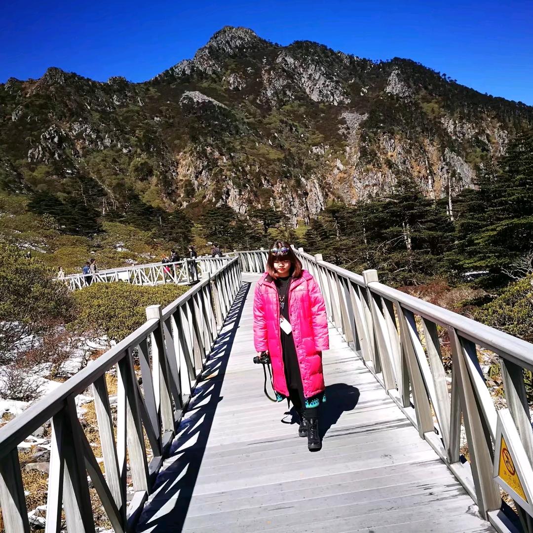 昉泽网络（常德琴姐）