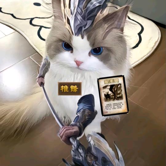 信风港