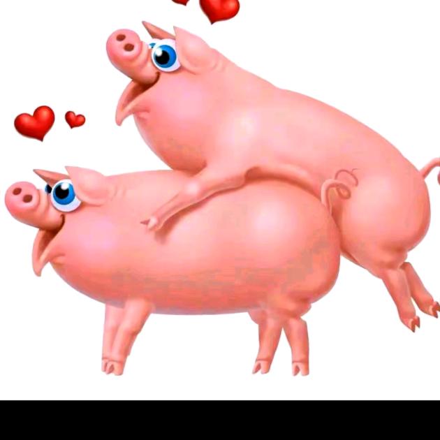女老板