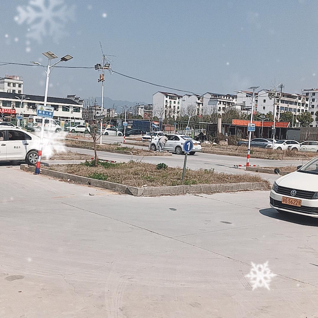 驾校直招（赵龙集团）