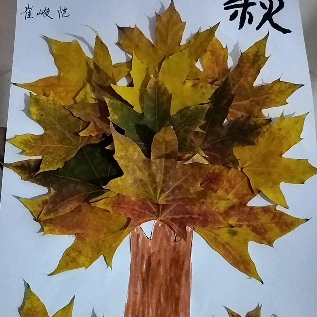 就是个卖板的