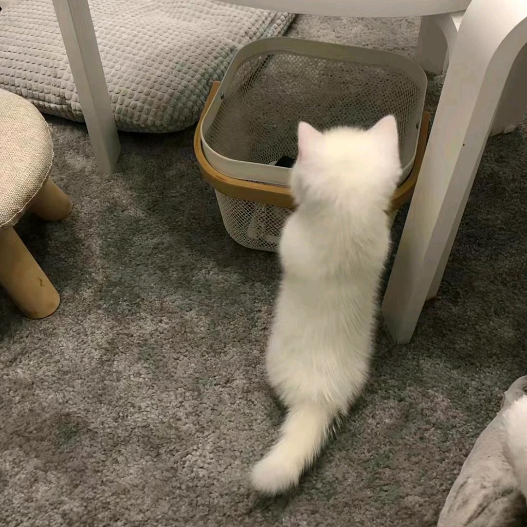 火鸡面加点辣