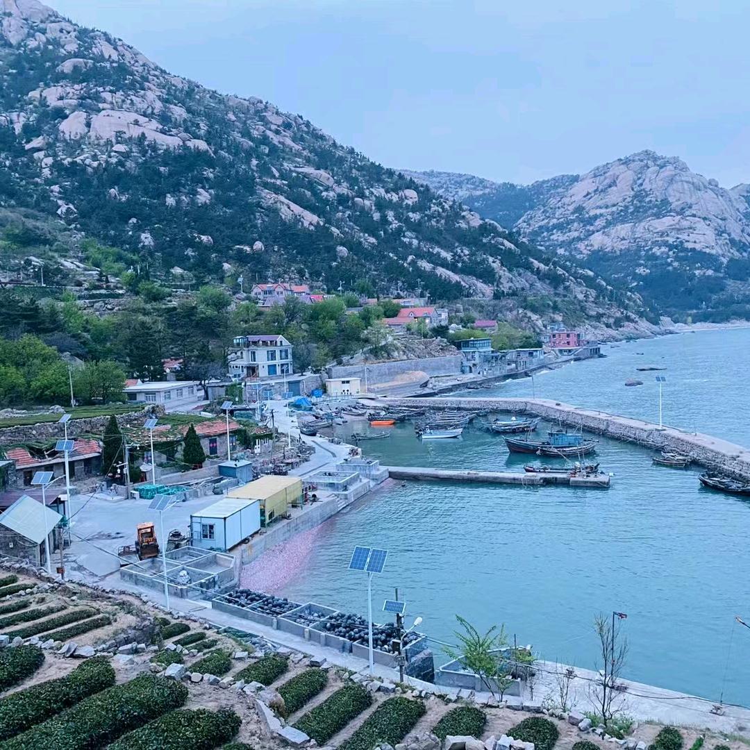 崂山，林锋