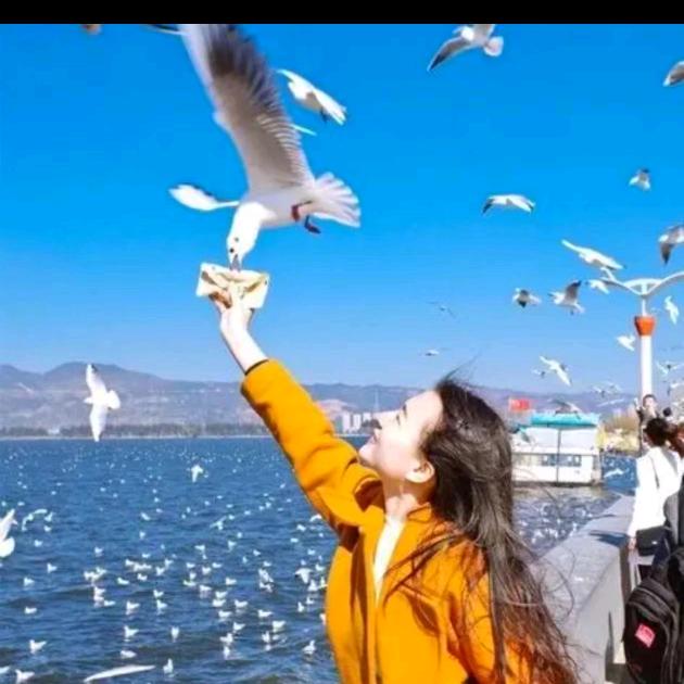 🌺🌻永远幸福🌻🌺……
