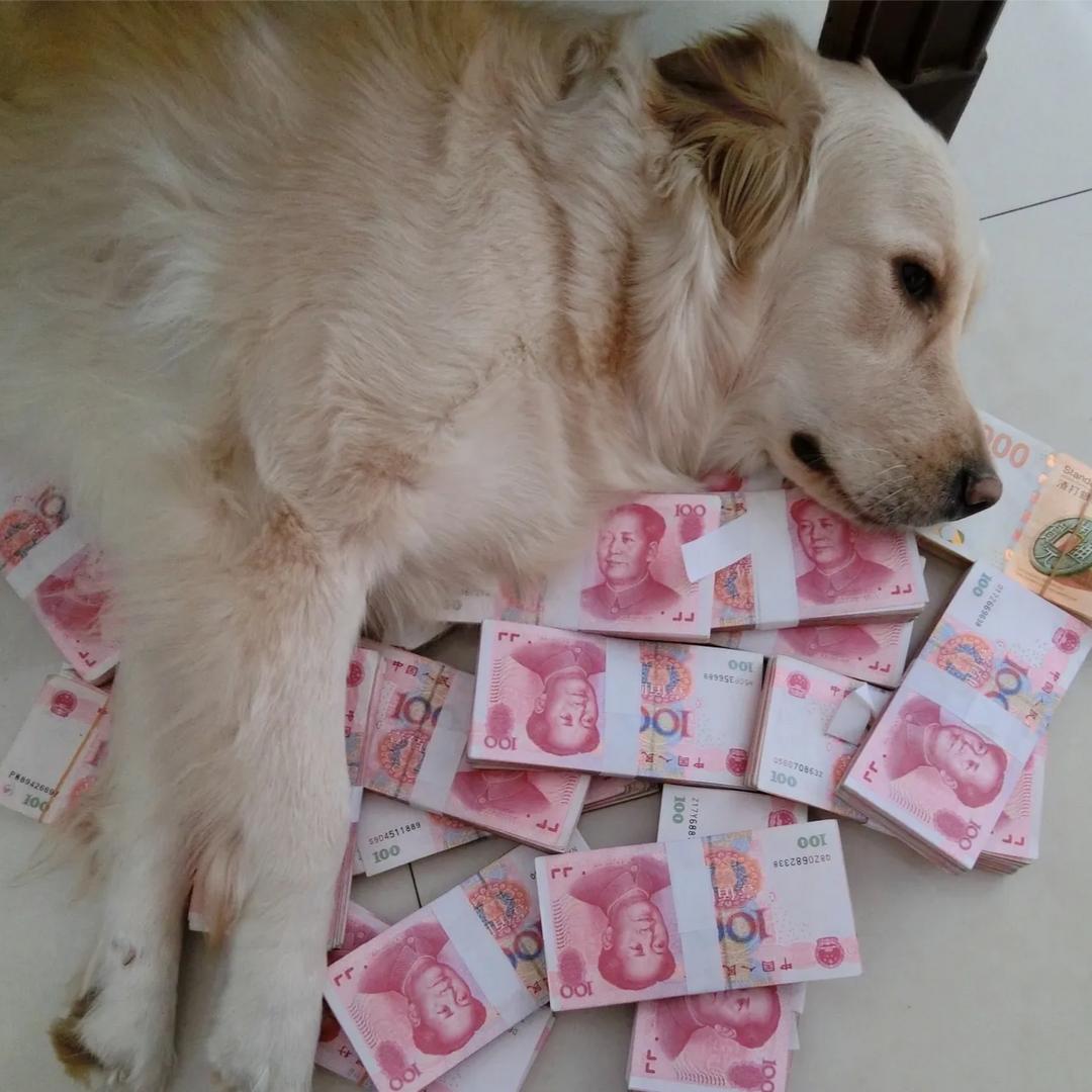 药䓂苦茗