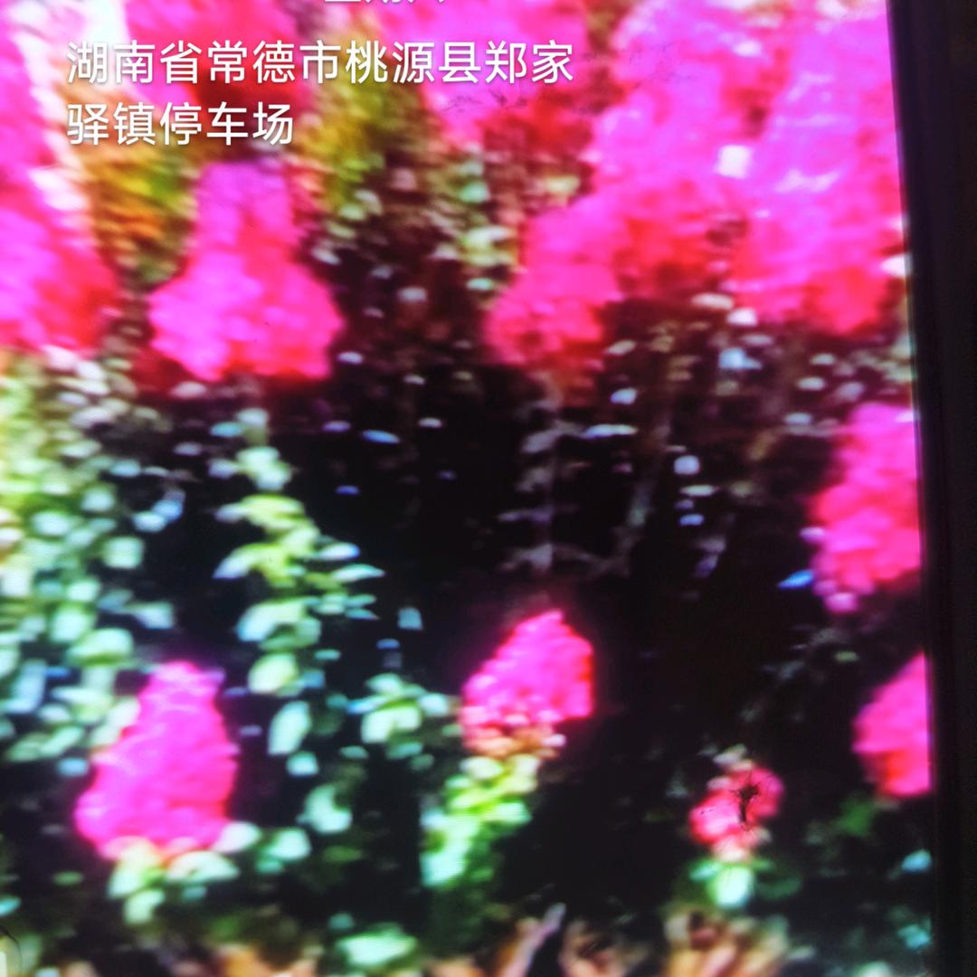 .风雨无阻