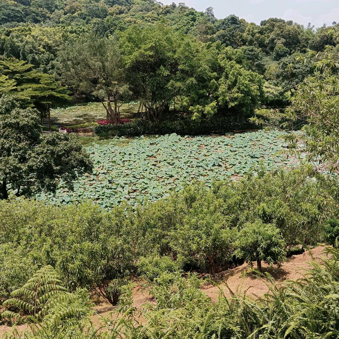 单身,宝贝回家