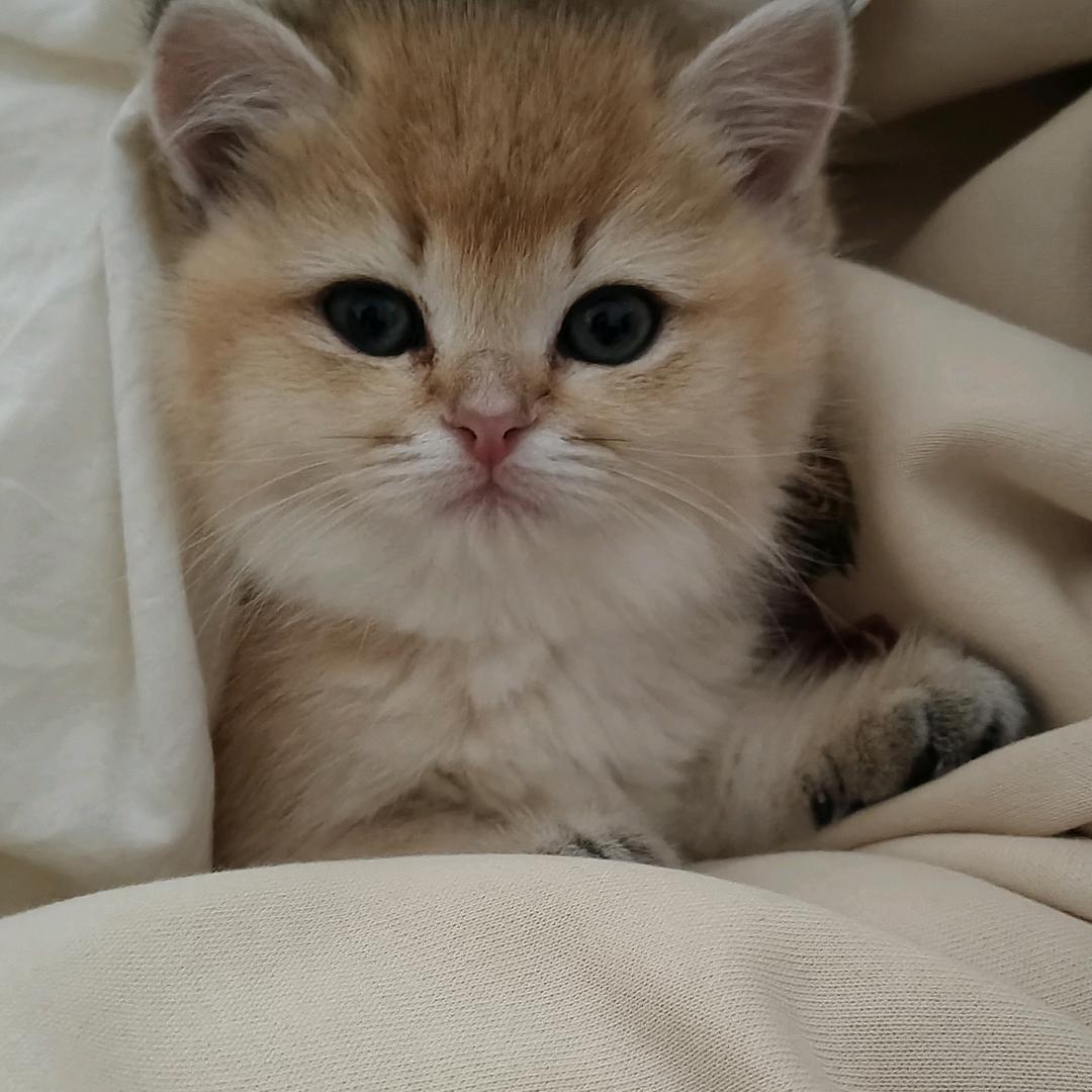 李李与福福🥰