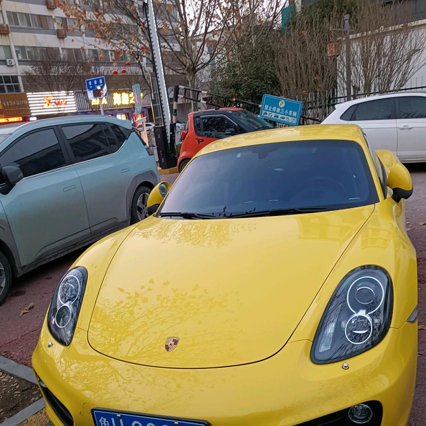 人生如梦，昙花一现！