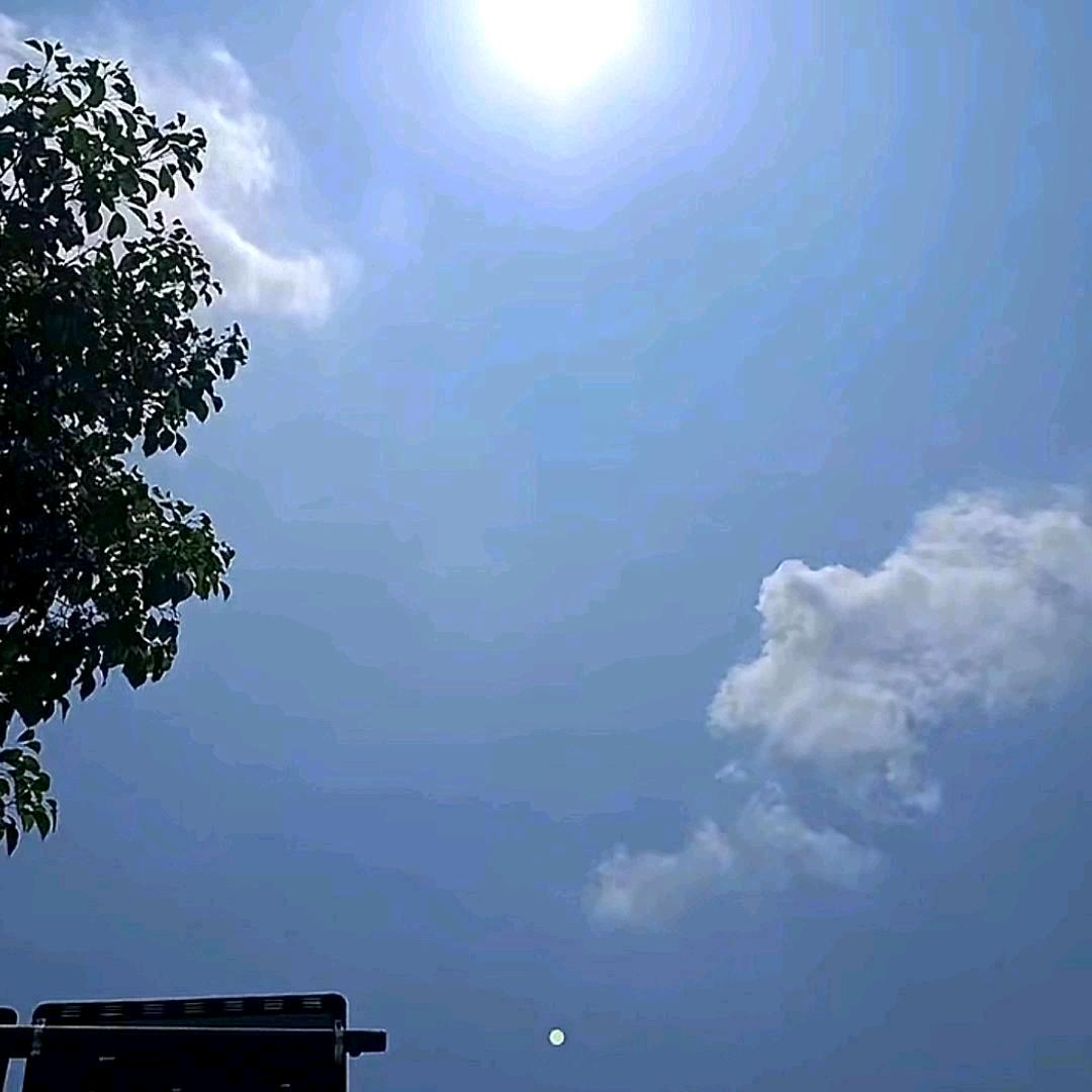 🍀初心