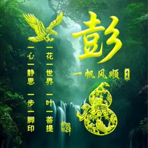 凄风苦雨落魄人生