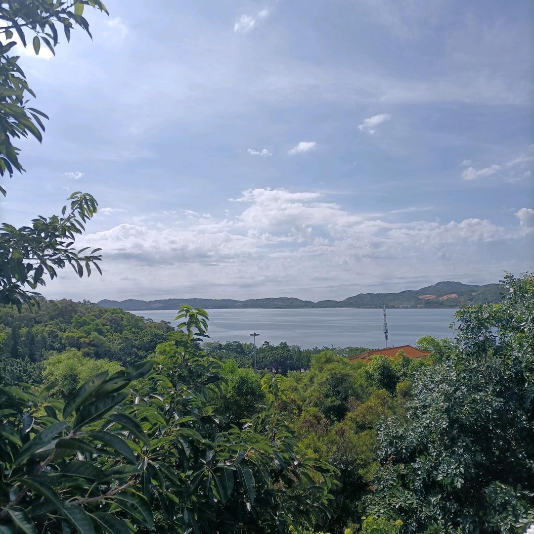 临湘坤哥