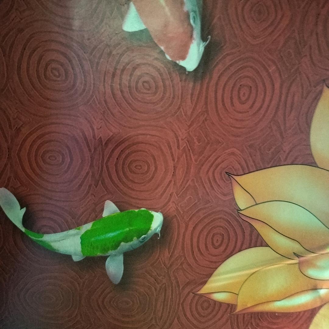 🐠雨🐟中🐬漫🦜步🌾🥀🌻