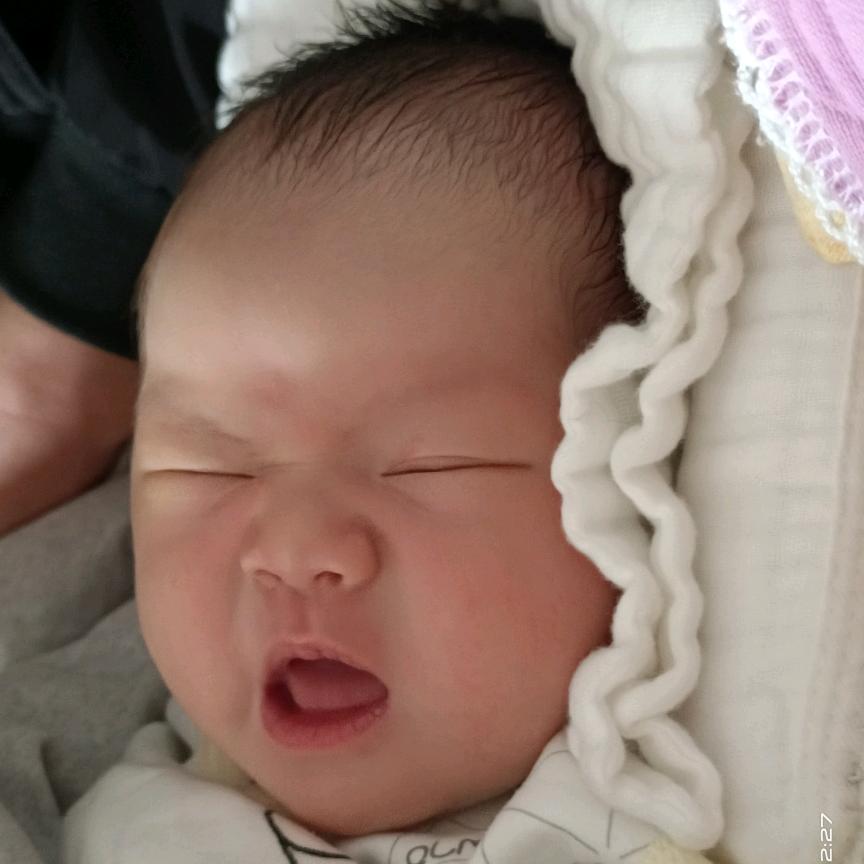 是石榴呀！👨‍👩‍👧