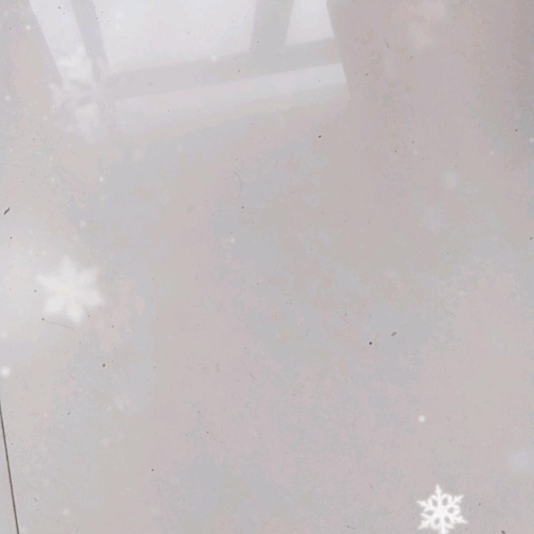 猫咪🐱猫咪