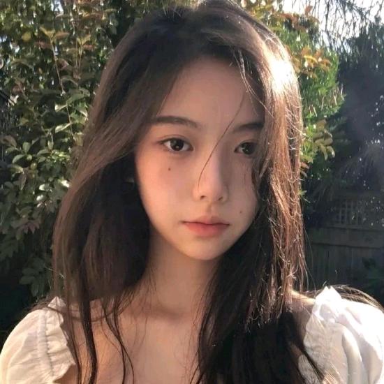 我是霸王龙🦖