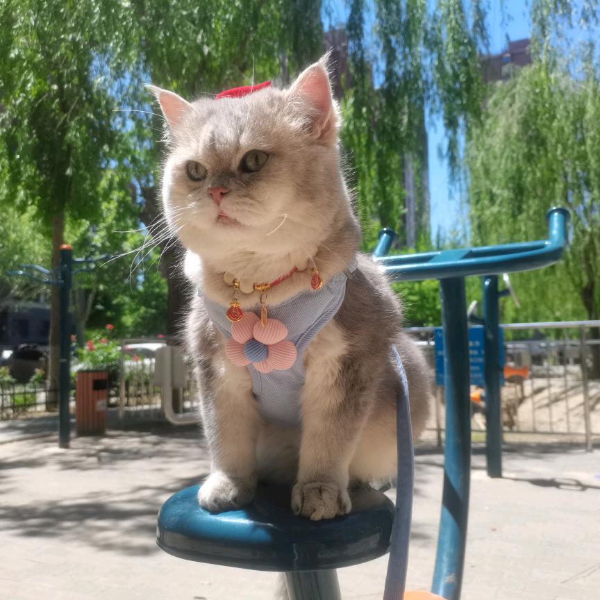 潘达头像