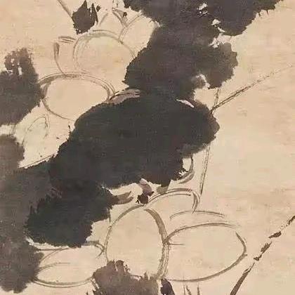 嘉比兔
