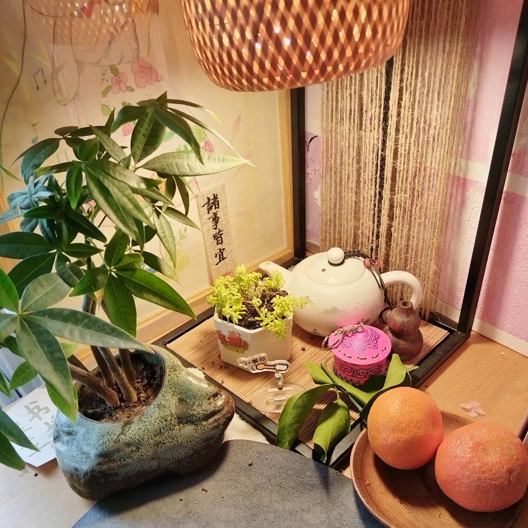 小汤圆书屋