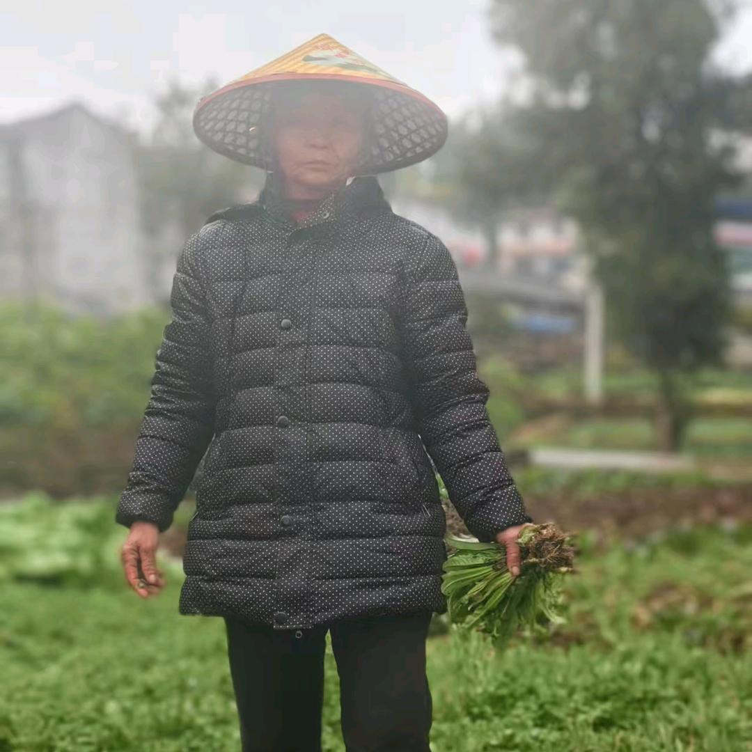 清者自清