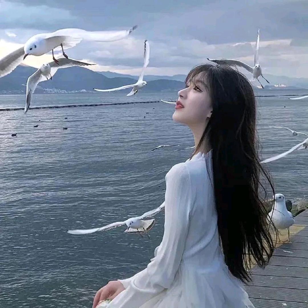 珍珠屿