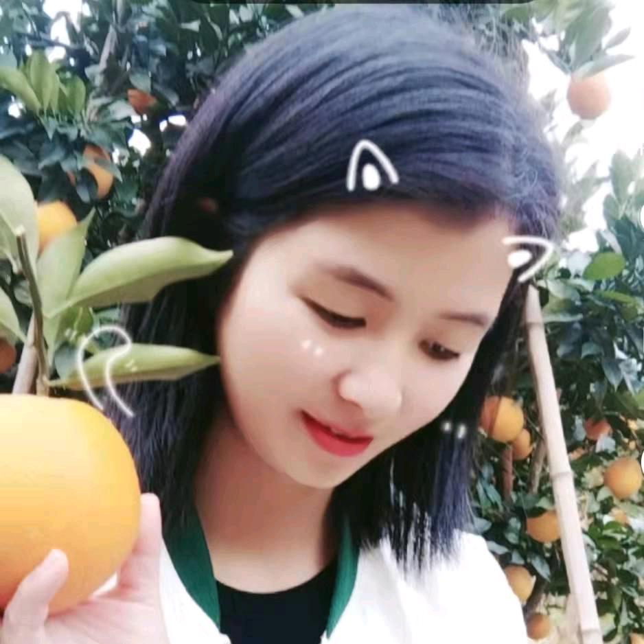 小曹姐姐好房优选