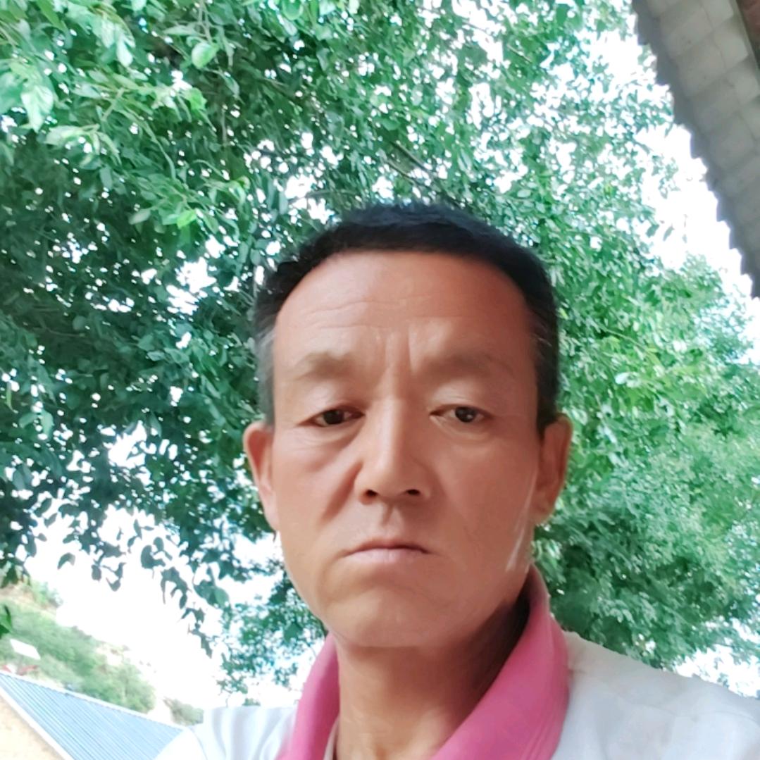 路亮亮