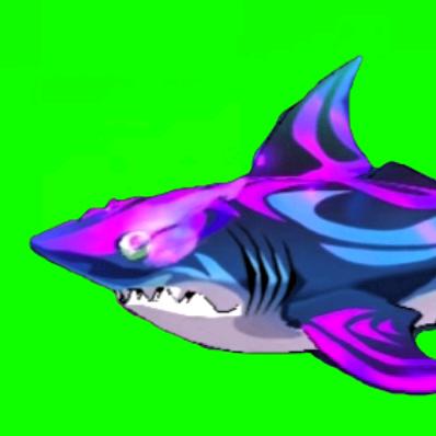 再见了，我最喜欢的游戏