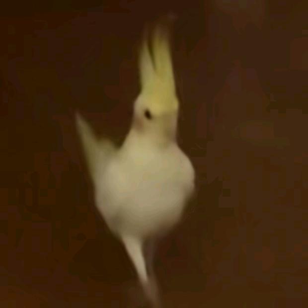 西伯利亚大土豆