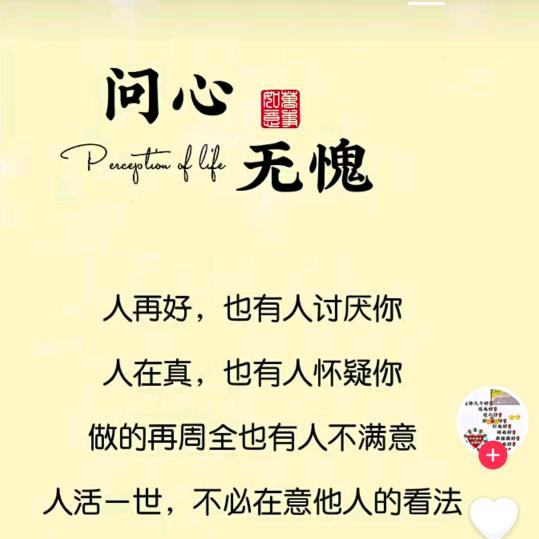 🎶武忧🎼武虑🎶