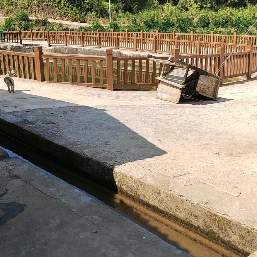 蓝仔