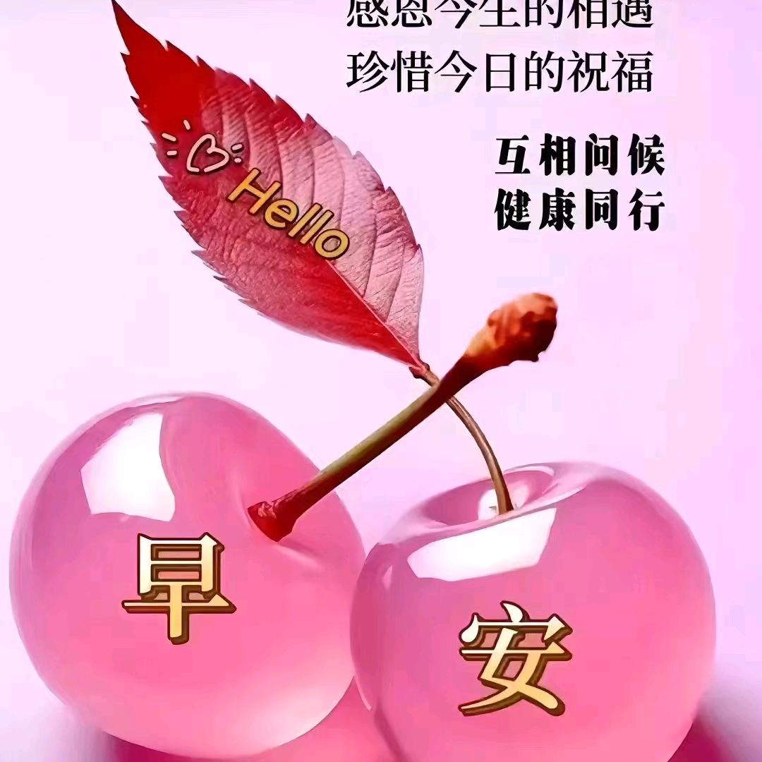 🌈老师傅