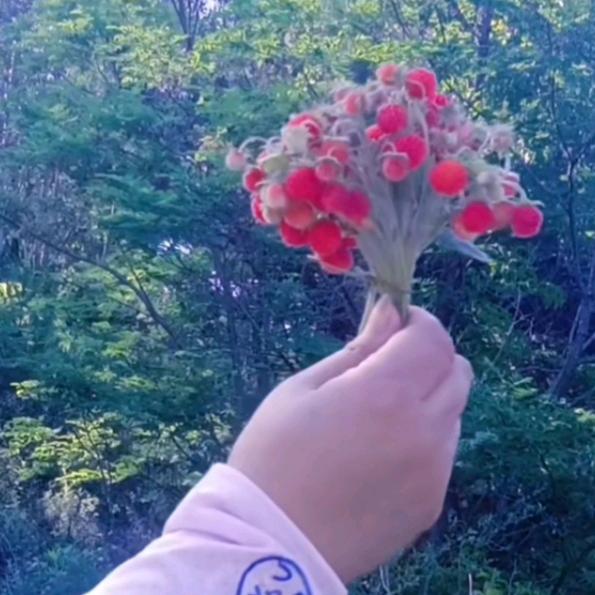 快乐人💝💝