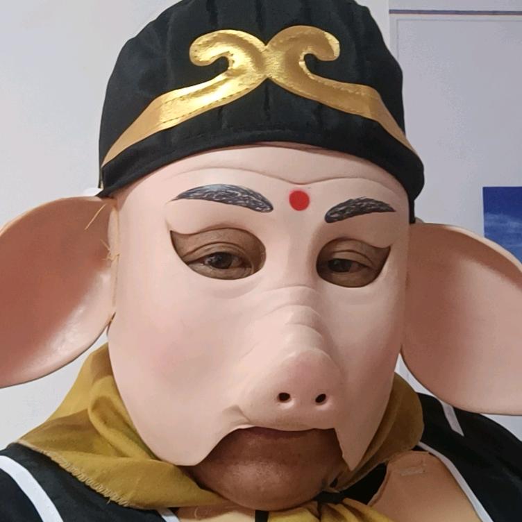 星光灿烂朱八戒
