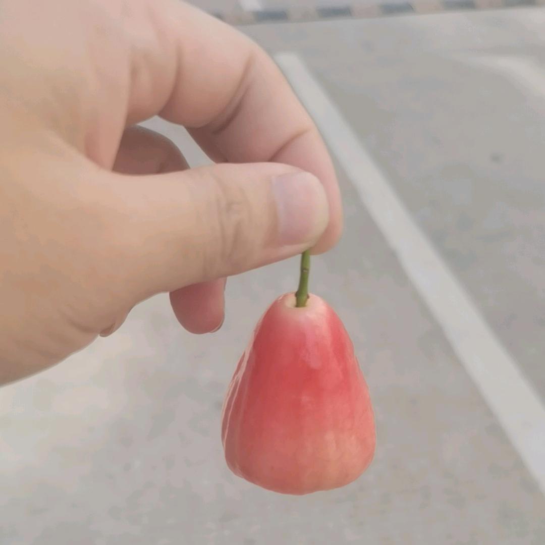 逝去的时光、我确为你着迷