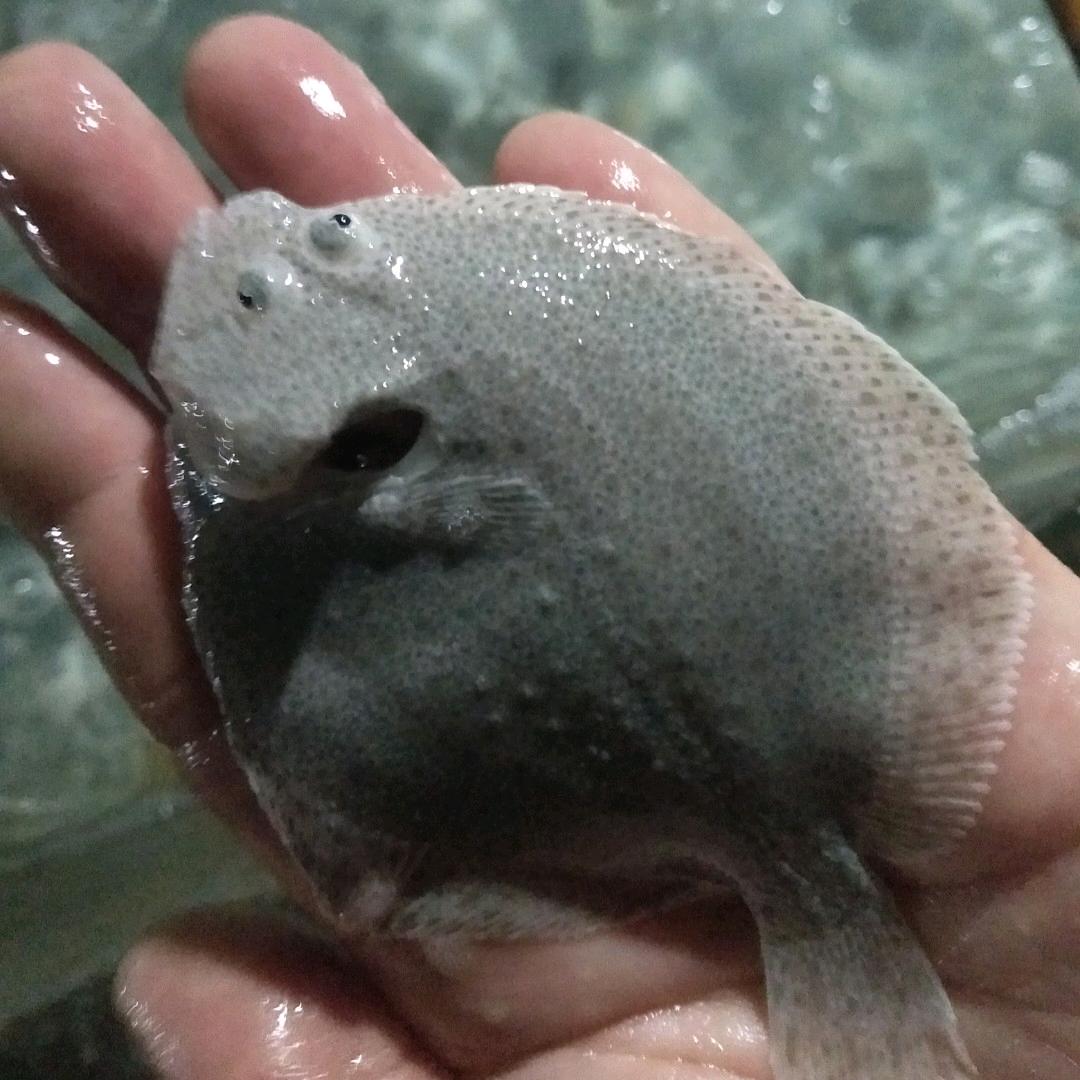 哪有多宝哪有我