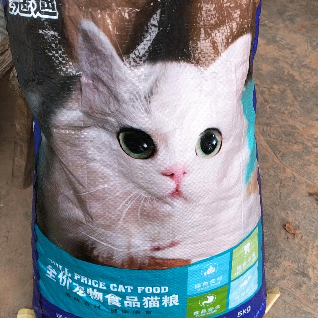 唢呐队