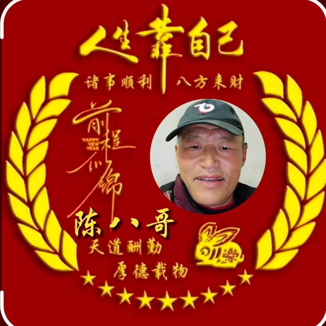 陈八哥