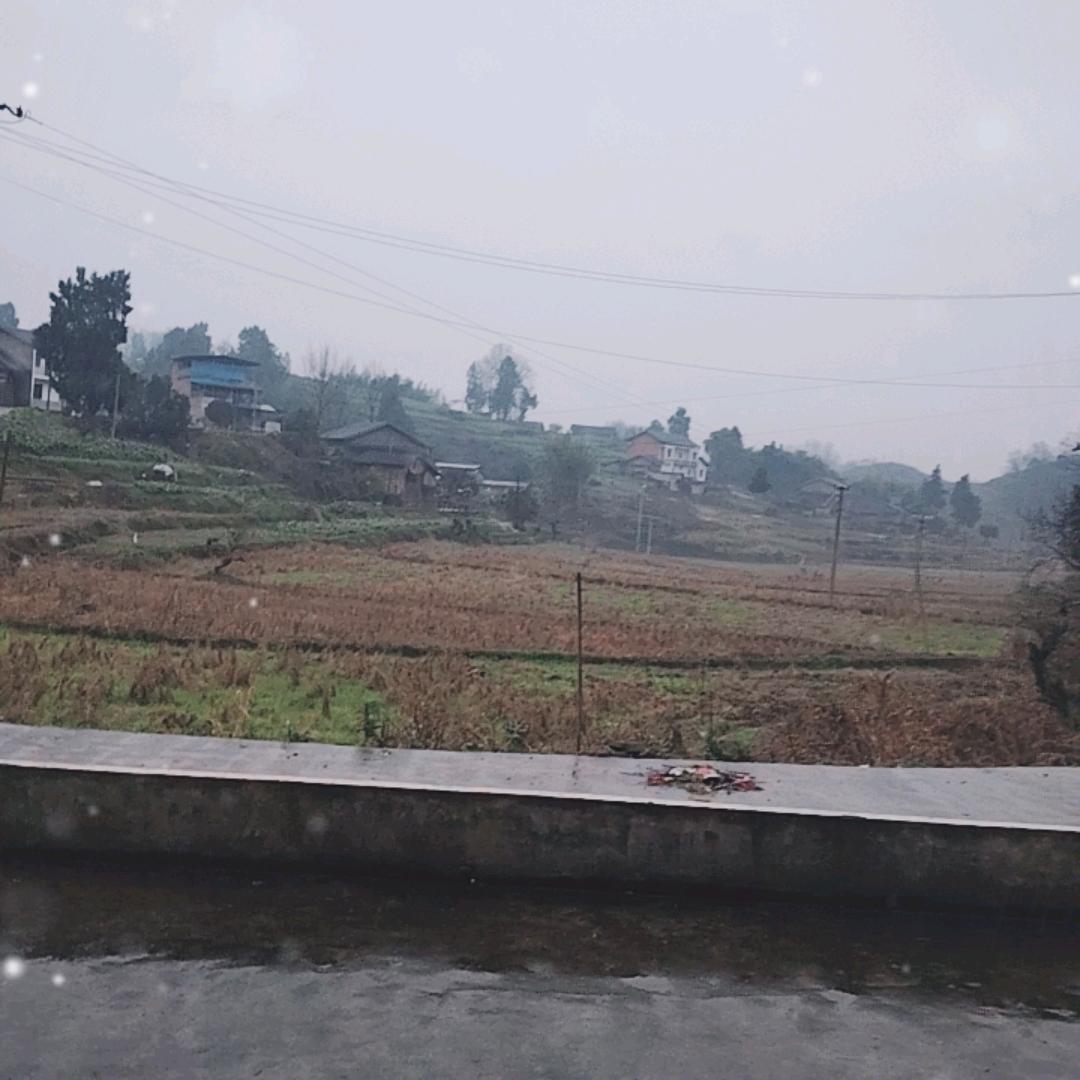 随心