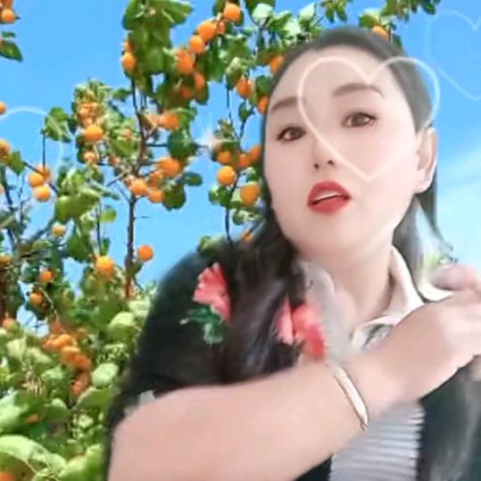 专业铺地板砖30年