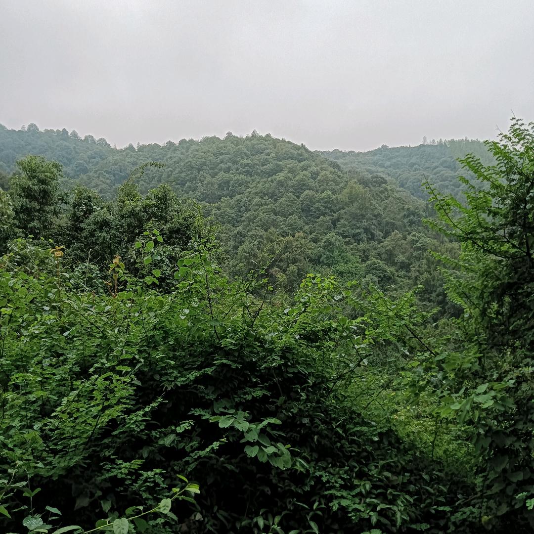 顺心顺雨